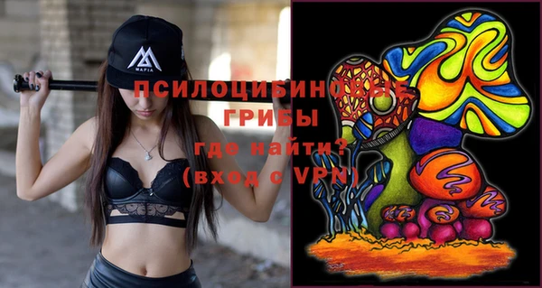 дживик Алзамай